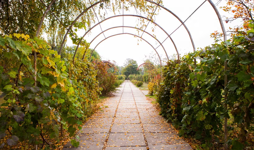 National Botanical Garden, Moldova